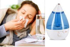 If You Are Having Issues With Dry Skin Your Eyes Constantly Itch You Wake Up At Night Because Of Coughing And Best Humidifier Homemade Humidifier Humidifier