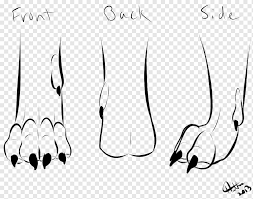 The padded part and the bony part. Dog Dire Wolf Paw Drawing Wolf Paw Angle White Mammal Png Pngwing