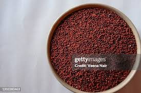 Image result for Eleusine coracana