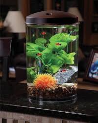 Koller Products Tropical 360 View Aquarium Starter Kit 2 Gal Chewy Com In 2020 Betta Fish Tank Diy Fish Tank Aquarium Design