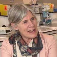 Paul Cormican (@PaulCormican)