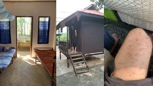 4 house members tell ceo jack dorsey they were alarmed to learn social media giant 'draws a distinction between the political and military factions' of terror groups. Twitter Ceo Jack Dorsey Spends 10 Days In Myanmar Single Room Basic Bed 117 Mosquito Bites And No Dinner Technology News