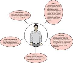 Image result for Violent Behavior