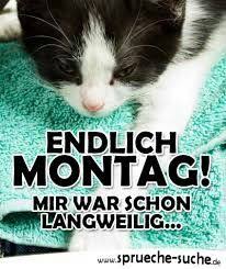 Die Arbeit Ruft Endlich Montag Wochenende Vorbei Montag Spruche