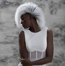 Time and time again, fashion designers have appropriated black hairstyles , often putting them on white models, without understanding the culture and history as a reminder to not repeat these same mistakes, here are eight times designers have appropriated black hairstyles during fashion shows. 78 Black And White Hair Color Ideas White Hair Color Hair Color Hair