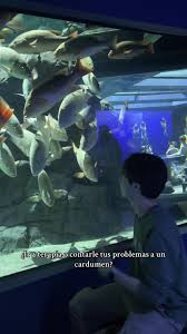 Visita al Acuario con el Biólogo Marino
