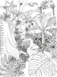 Each printable highlights a word that starts. Rainforest Coloring Page Rainforest Alliance