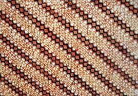 Software penambah saldo rekening tabungan anda ingin uang mengalir terus ke rekening anda? Motif Batik Dan Maknanya Balai Diklat Industri Padang