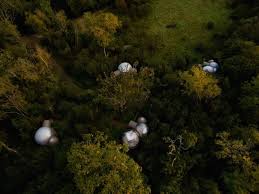 This was my first photography job in over 3 months due to the virus. Bubbles Domes At Finn Lough Inhabitat Green Design Innovation Architecture Green Building