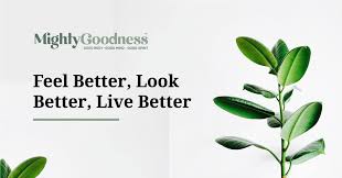 Bilgisayarların kullanım alanları nelerdir, bilgisayar nerelerde kullanılır, bilgisayar ile neler yapılabilir, bilgisayar ve iş amaçlı kullanım. Terms Of Use Mighty Goodness