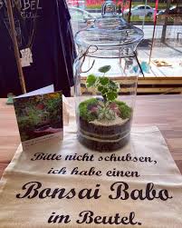 Kleiner Reminder Am Sonntag Ist Schon Muttertag Aber Keine Panik Im Ostaendstore Findet Ihr Garantiert Das Passende Geschenk Wi In 2020 Bonsai Home Decor Decor