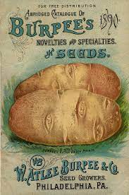 Seed Catalogs Seed Packets Seeds Vintage Seed Packets
