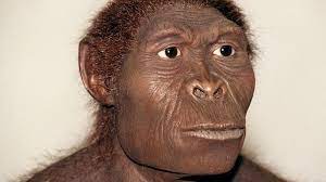 Verändert sich · veränderte sich · hat sich verändert. Homo Sapiens Die Entwicklung Des Modernen Menschen Br Wissen