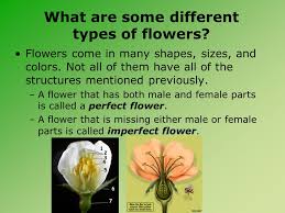 The male reproductive parts of a flower are much simpler than the female ones. 5 Requirements Plants Need In Order To Grow Ppt Download