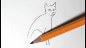 Collection by adrienne haze domingo • last updated 10 weeks ago. How To Draw A Cat