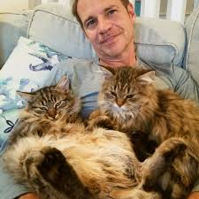 The siberian cat is moderately active. Forestwind Siberian Cat Breeder Home Facebook