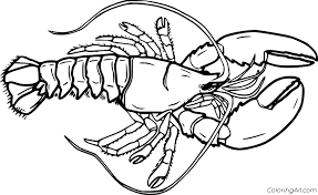 This coloring sheet for kids contains different fascinating lobsters, including realistic and cartoon. Realistic Maine Lobster Coloring Page Coloringall