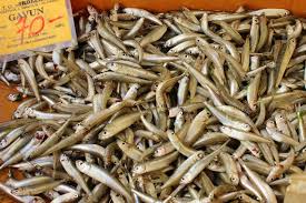 15,30 € mit reis, tzatziki und salat. Sardine Sardelle Sprotte Das Grosse Who Is Who Der Winzigen Fische Chez Matze