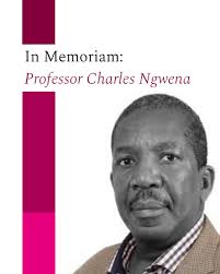 University of Galway Irish Centre Human Rights (@uniofgalwayichr) •  Instagram photos and videos