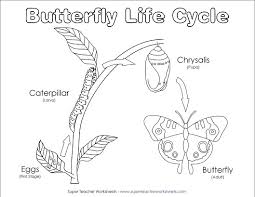 The monarch butterfly life cycle. Life Cycle Of A Monarch Butterfly Coloring Page Free Coloring Library