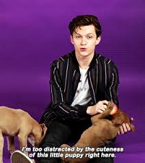 Tom Holland Mr Stark I Don T Feel So Good Https Encrypted Tbn0 Gstatic Com Images Q Tbn 3aand9gcqpzbshwnnw9wgztbeihsu6axojhqe0ynd3qq Usqp Cau