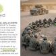 Veterans Day Lunch & Stories at 4Ever Young Chandler event image