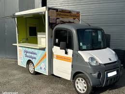 Image result for Blanc 2012 Aixam-Mega