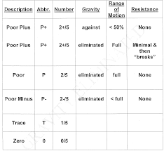 Mmt Grades Chart Related Keywords