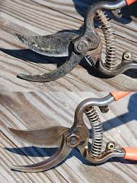 Description of the procedure for sharpening garden clippers, shears and trimmers with a sharpening stone or file. Clean And Sharpen Any Pruning Shears In 10 Minutes Or Less Garden Tools Pruning Shears Garden