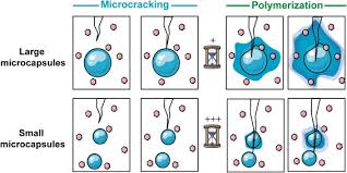 Dent'al asia manufacturing sdn bhd. Influence Of Microcapsule Parameters And Initiator Concentration On The Self Healing Capacity Of Resin Based Dental Composites Sciencedirect