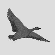 Goose Feathers Animation 3d Model Animation 3d Model Goose Feathers