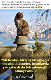 General Mobile Adli Kullanicinin Guzel Sozler Panosundaki Pin Guzel Soz Danca Cennet