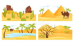 A camel can go a week or more without water, and they can last for several months without food. Camel Desert Oasis Stock Illustrations 521 Camel Desert Oasis Stock Illustrations Vectors Clipart Dreamstime