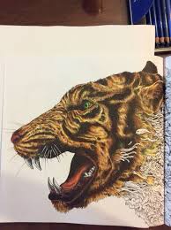 Download Mix Of Different Brands Colored Pencils From Animorphia Coloring Book Animorphia Coloring Book Animorphia Coloring Animal Coloring Books