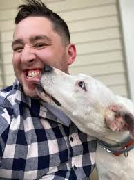 Cat found outside finds home