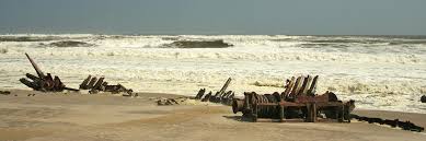 The waters off namibia's northern coast are notorious for their strong currents, treacherous fog and shifting sandbanks, which have seen the demise of many ships, whales and other marine creatures over the centuries. Skeleton Coast National Park Namibia Wild Safari Guide
