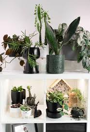 L➤ ikea grow light 3d models ✅. How To Use Grow Lights For Houseplants To Help Them Thrive