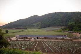 gallery of el galeno horse stables and warehouse penafiel valdivieso arquitectos 22 horse stables stables horses