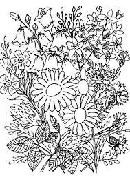 Blumen 3 Ausmalbilder Fur Erwachsene