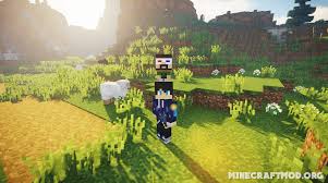 I am thinking about optifine, rwg, streams, better animals models, more animal colours from quark, shaders, dynamic surroundings, dynamic lights, better foliage . Hats Mod 1 17 1 1 16 5 1 15 2 Adds An Aesthetic Feature Onto Players