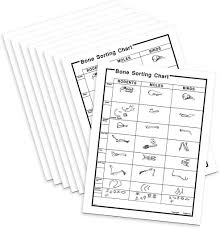 Bone Sorting Charts Skeleton Charts Vole To Human