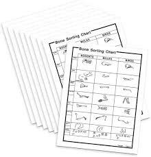 Bone Sorting Charts Skeleton Charts Vole To Human