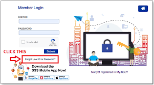 Unlock via password reset on my.sss. How To Reset Sss User Id And Password With Or Without Email 2020 Sss Answers