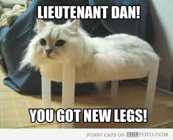 Lieutenant Dan Got New Legs Funny Cat Sitting On A Small Plastic Table Looking Like Lieutenant Dan From Forrest Funny Meme Pictures Funny Animals Bones Funny