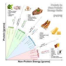 Последние твиты от psmf diet (@psmfdiet). Http Burnfatnotsugar Com Protein Protein Png Alimenti
