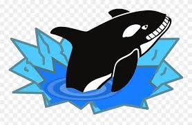  All Photo Png Clipart Ikan Paus Gambar Kartun Transparent Png Free Clip Art Clip Art Creative Project