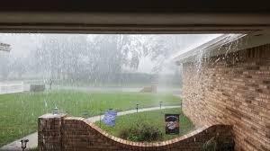 Josh Brannock (@josh_brannock)