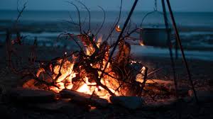 Check spelling or type a new query. Flame Academy Top Chefs Recipes For Cooking Over Open Fire Financial Times