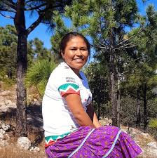 Irma Chávez Cruz - Wikipedia, la enciclopedia libre