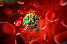 Please answer the questions below to view your results. Test Your Hepatitis C Knowledge